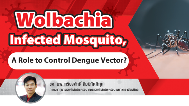 Wolbachia Infected Mosquito, A Role to Control Dengue Vector?